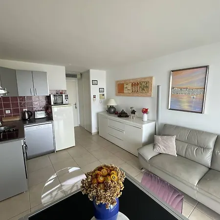 Moderne 2p Avec Belle Vue, Piscine, Parking, Centre-port, Proche Et Commerces - Cap D'agde - Fr-1-723-145 דירה